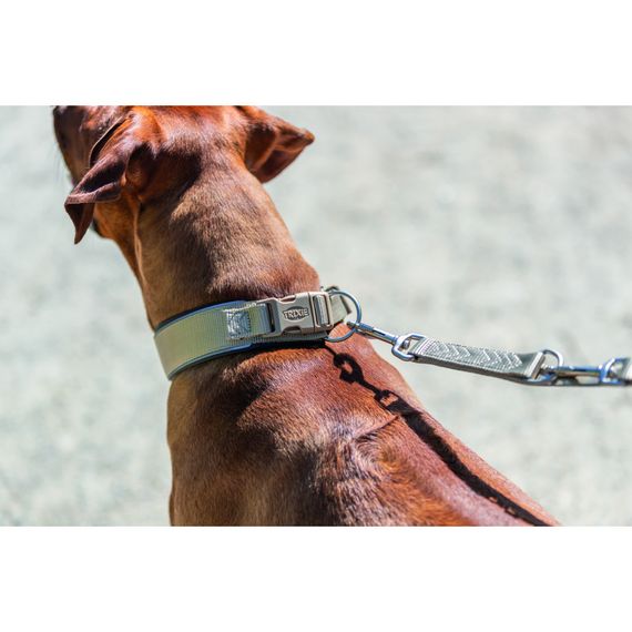 Нашийник Trixie Premium для собак екстраширокий L 46–55 см 50 мм пісочно-сірий | Зображення 4