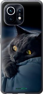 Чохол на Xiaomi Mi 11 Димчастий кіт "825t-2253-2448"