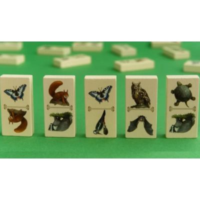 Настільна гра Capstone Games Renature (Розквіт), англійська (5060226932955) | Зображення 2