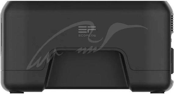 Зарядное устройство EcoFlow River Mini | Зображення 4