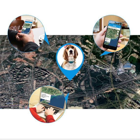 Трекер GPS для животных V43 Pet Tracker SIM (4GLTE+3GWCDMA+2GGSM) 500mAh White | Зображення 6