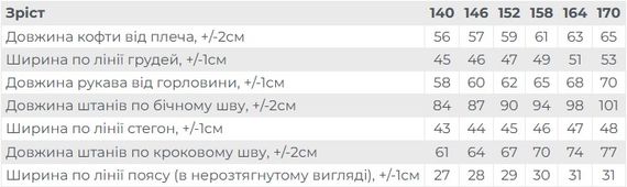 Костюм для хлопчика (підлітковий) Носи своє 170 Сірий (p-16135-185808) | Зображення 3