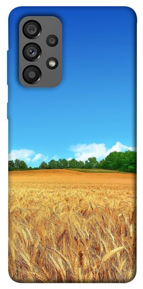 Чохол IBANAN Пшеничне поле для Samsung Galaxy A73 5G