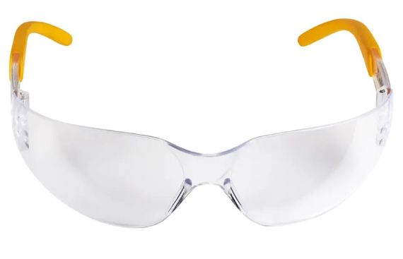 Окуляри DeWalt Protector (DPG54-1D) | Зображення 3