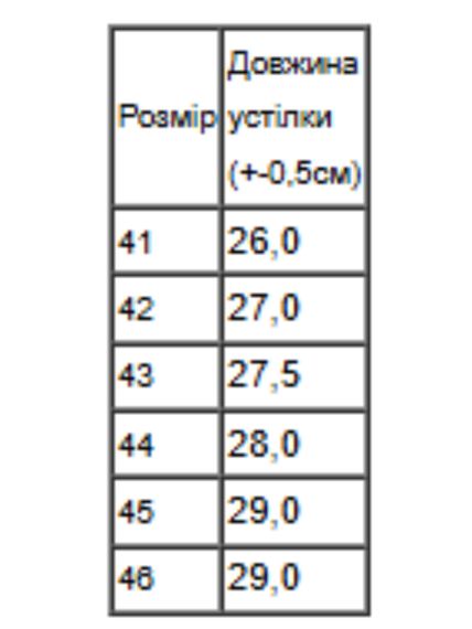Демісезонні чоловічі кросівки Носи своє 45 Сірий (p-18279-217452) | Зображення 1