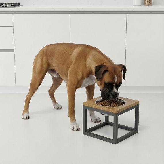 Миска на подставке для больших собак Hollky Base Solo XL (1 × 1,8 л) Solo XL-262620-GRNT | Зображення 1