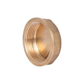 Заглушка Thermo Alliance Standart 1 1/2" ВР SD40240