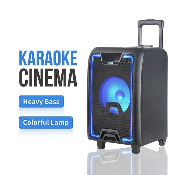 Акустична система XPRO NDR-2010 чорного кольору (MER-15722_4562) | Зображення 9