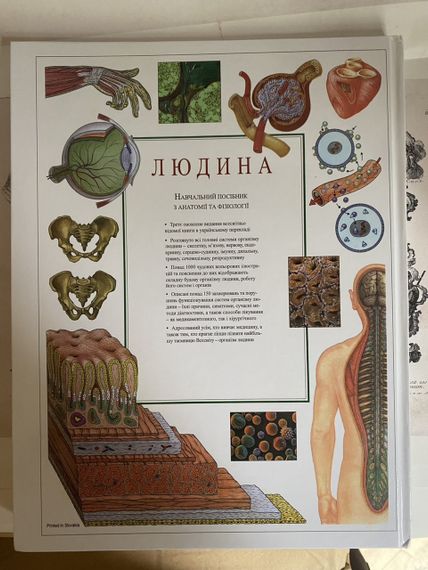 «Людина. Навчальний атлас з анатомії та фізіології» – Тоні Сміт | Зображення 1