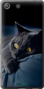 Чохол на Sony Xperia M5 E5633 Димчастий кіт "825u-217-2448"