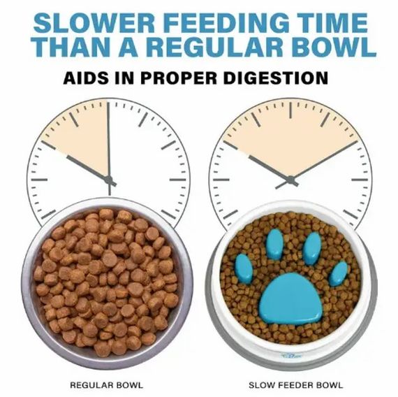 Годівниця для повільної подачі їжі Paw Perfect для котів та собак · Миска Slow Feeder Bowl для домашніх тварин | Зображення 2