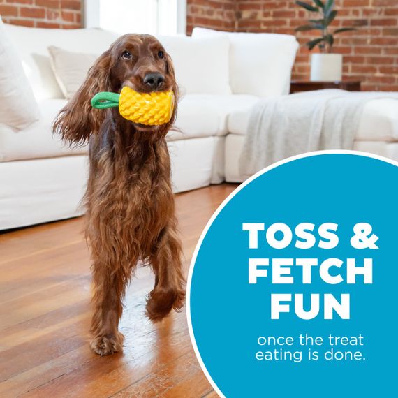 Іграшка для собак Outward Hound Dental Pineapple Dental Chew Toy, 16.5 см | Зображення 5
