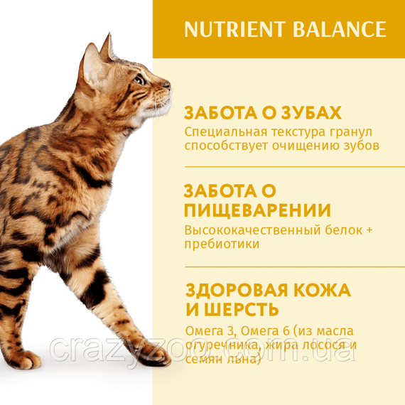 Сухий корм для котів Optimeal зі смаком курки 700 г 4820215364676 | Зображення 2