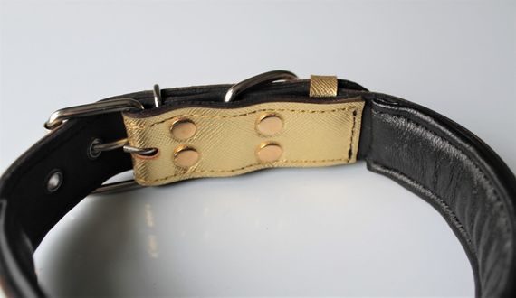 Кожаный ошейник для собак "Lockdog" золотистый | Зображення 3