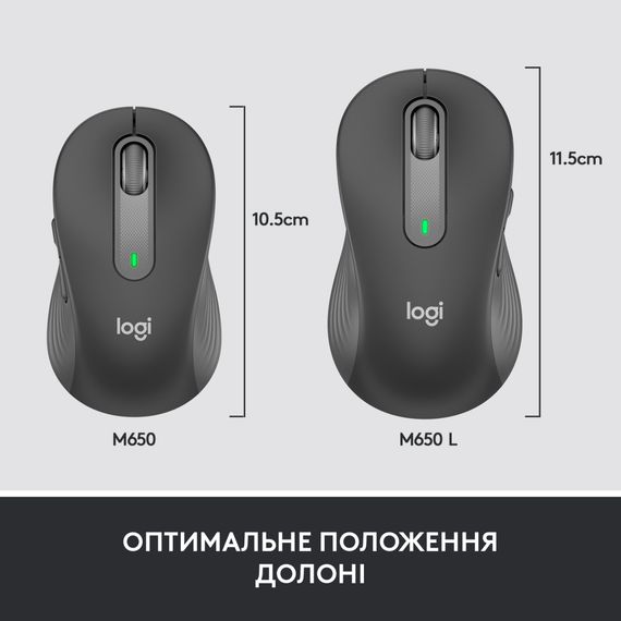  | Зображення 6