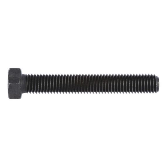 Болт з 6-гранною головкою, з повним різьбленням, WS30, M20х60