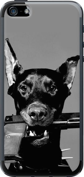 Чехол на iPhone 5s Доберман "2745u-21-17620"