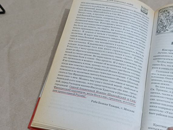 Матушка Фотинія Особливий Молотвений Покров усіх святників 2009 | Зображення 6
