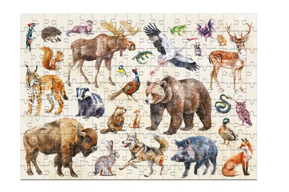 Пазли - 200 елм. - 300629 "Монтессорі. Лісові тварини" DoDo | Зображення 4