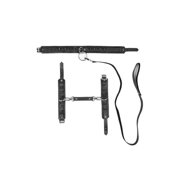 Нашийник із шипами та повідцем Candy Hero модель FET26 (Шкіра) One Size | Зображення 1