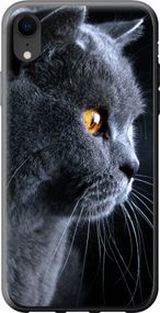 Чехол на iPhone XR Красивый кот "3038u-1560-17620"