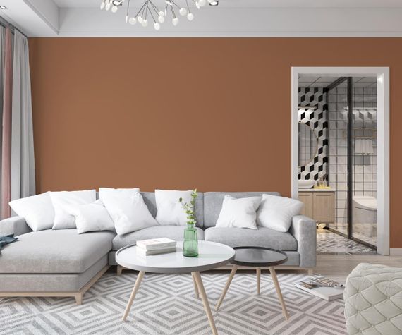 Краска Интерьерная Латексная Skyline 3030-Y50R Корица 5л | Зображення 2