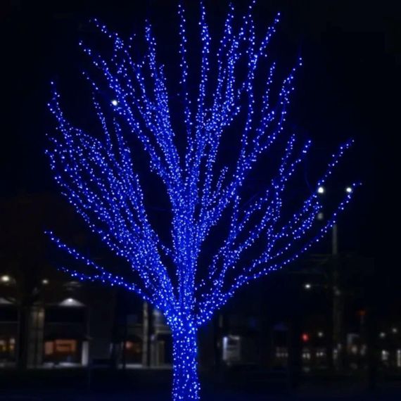 Гирлянда Нить уличная 30 (м) 300 LED черный провод Синий CF300L30MBBL | Зображення 1