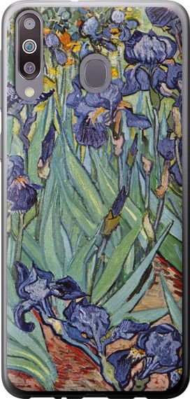 Чехол на Samsung Galaxy M30 Винсент Ван Гог. Ирисы "161u-1682-17620"