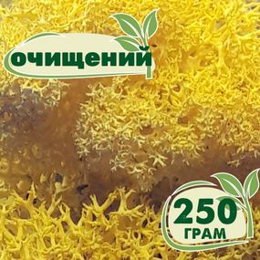 Очищений стабілізований мох ягель Жовтий лимонний 250 грам
