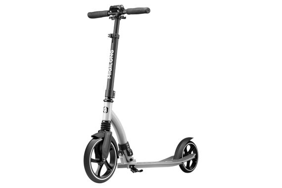 Дитячий самокат Miqilong Beagle сірий BEAGLE-200-GRAY