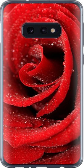 Чехол на Samsung Galaxy S10e Красная роза "529u-1646-17620"