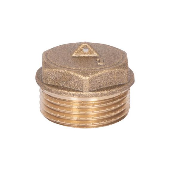 Заглушка Thermo Alliance Standart 1" НР SD40325 | Зображення 4