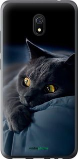 Чохол на Xiaomi Redmi 8A Димчастий кіт "825u-1794-2448"