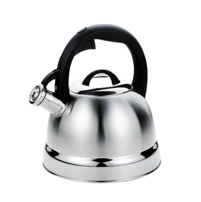 Чайник 2,6 л металевий MR-1329 Maestro