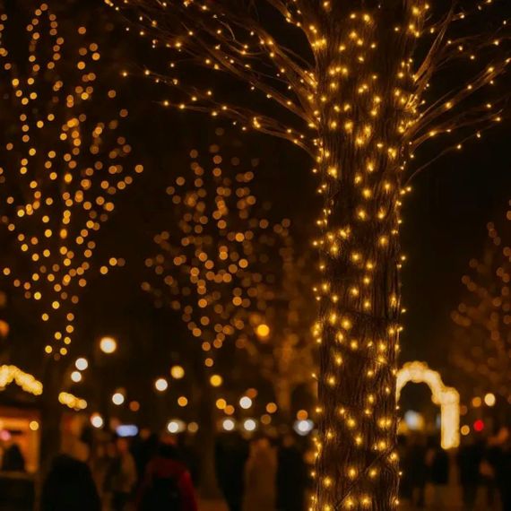 Гирлянда Нить уличная 30 (м) 300 LED черный провод Желтый CF300L30MBY | Зображення 1