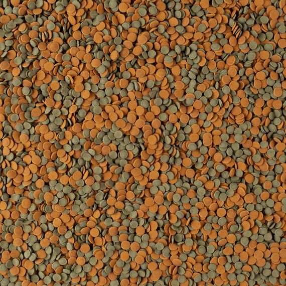 Корм сухий Tetra Wafer Mix для акваріумних донних риб та ракообразних в пластинах 15 г | Зображення 2