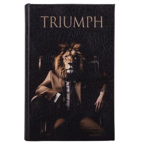 Книга-сейф Тріумф металева з ключами 26х17х5 см