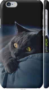 Чохол на iPhone 6 Димчастий кіт "825m-45-2448"