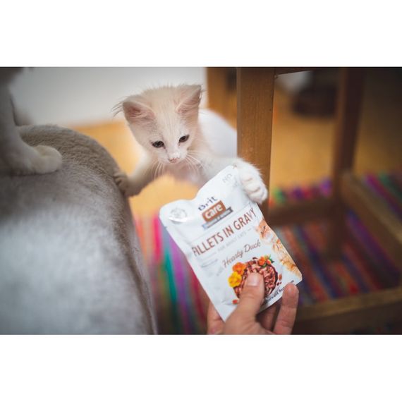 Корм вологий Brit Care Fillets in Gravy Hearty Duck д/котів філе в соусі з качкою 85 г | Зображення 2