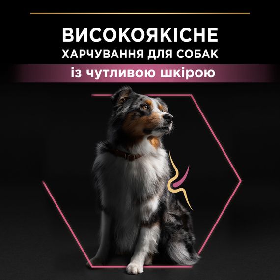 Сухий корм для собак середніх порід з лососем Purina Pro Plan Medium Sensitive Skin 14 кг | Зображення 2