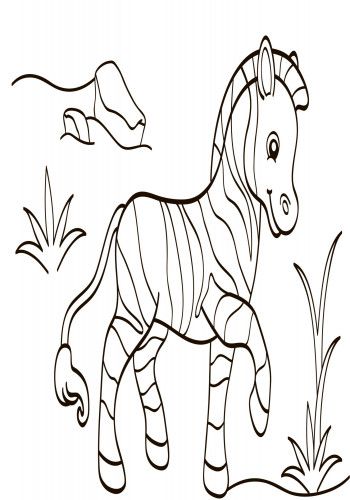 Дитяча водна розмальовка: Екзотичні тварини 734012, 8 сторінок | Зображення 5