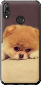 Чехол на Huawei Y7 2019 Boo 2 "890u-1638-17620"
