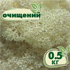 Очищенный стабилизированный мох ягель Nordic moss Натуральный белый 0,5 кг