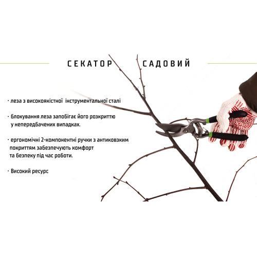 Секатор 250 мм (PS-22250) Alloid | Зображення 2