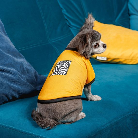 Футболка Pet Fashion Jessica для собак бавовна трикотаж жовта XXS | Зображення 3