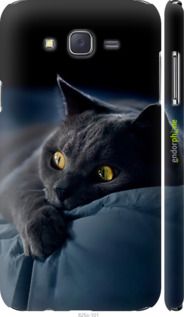 Чохол на Samsung Galaxy J7 J700H Димчастий кіт "825m-101-2448"