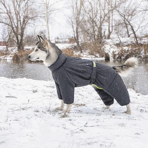 Комбінезон Pet Fashion «Cold» для собак, розмір ML, сірий | Зображення 4