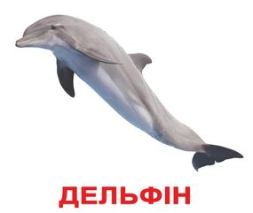 Набір карток Domana - Мешканці водойм. Українською мовою. Без ламінації.