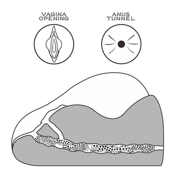 Мастурбатор - Streetgirl's #2 Black Sex Aura | Зображення 3