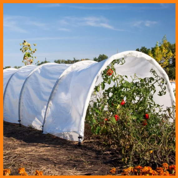 Парник 6м 60 щільність Shadow( теплиця з спанбонду) міні парники 60 щільність | Зображення 3